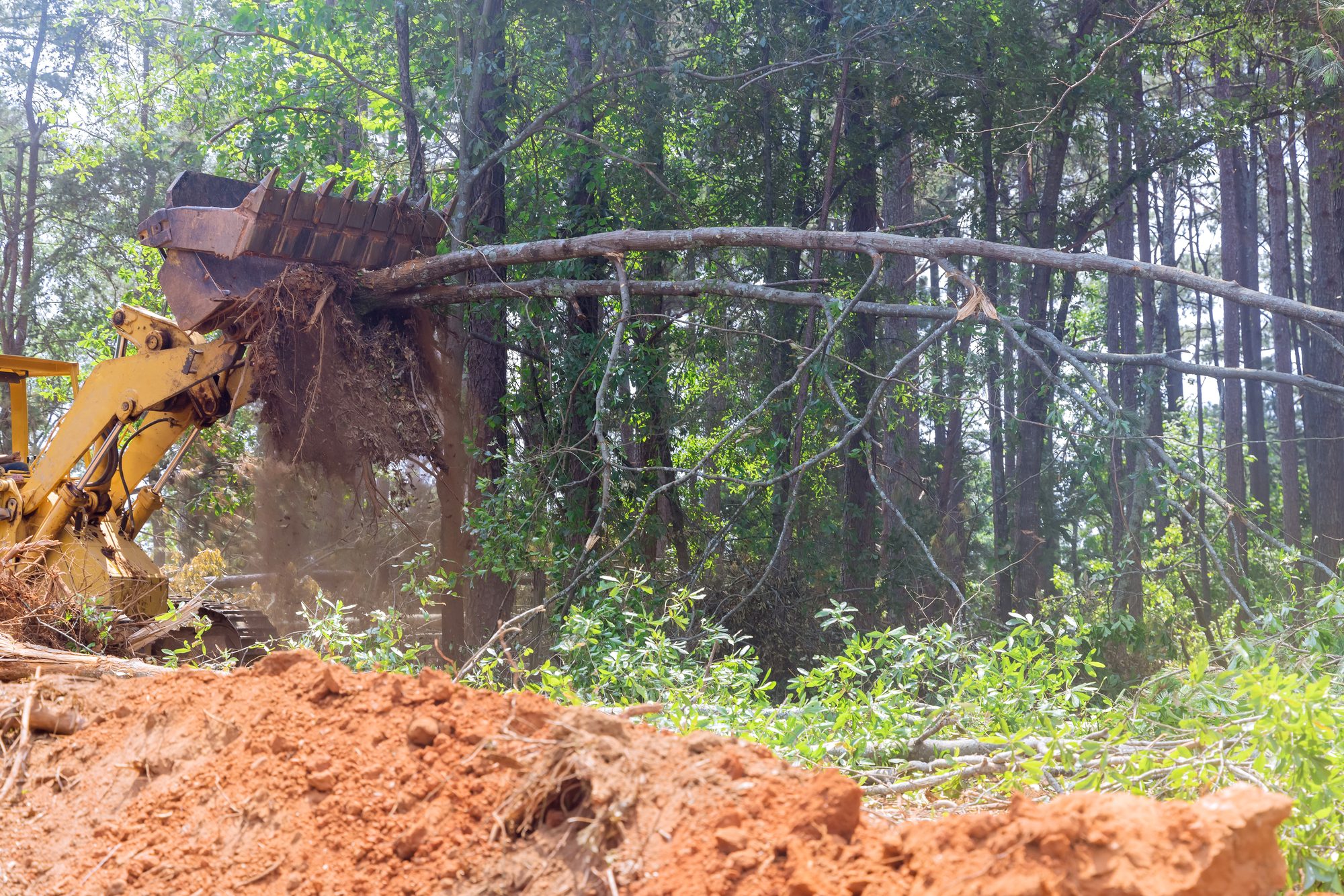 Demolition Contractor